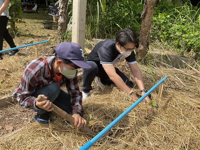 คณะเภสัชศาสตร์มหาวิทยาลัยพะเยา แลกเปลี่ยนเรียนรู้ด้านการปลูกสมุนไพรกับผู้นำชุมชน เพื่อสนองพันธกิจด้านทำนุบำรุงศิลปะวัฒนธรรม ภายใต้"โครงการผลิตภัณฑ์เสริมสุขภาพจากแอ่งแถะ" 