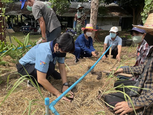คณะเภสัชศาสตร์มหาวิทยาลัยพะเยา แลกเปลี่ยนเรียนรู้ด้านการปลูกสมุนไพรกับผู้นำชุมชน เพื่อสนองพันธกิจด้านทำนุบำรุงศิลปะวัฒนธรรม ภายใต้"โครงการผลิตภัณฑ์เสริมสุขภาพจากแอ่งแถะ" 