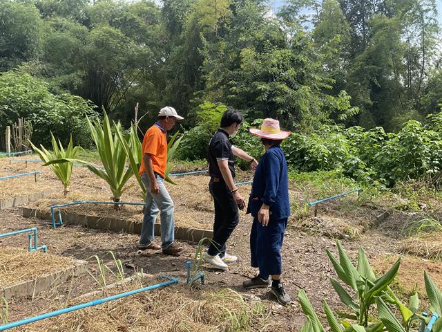 คณะเภสัชศาสตร์มหาวิทยาลัยพะเยา แลกเปลี่ยนเรียนรู้ด้านการปลูกสมุนไพรกับผู้นำชุมชน เพื่อสนองพันธกิจด้านทำนุบำรุงศิลปะวัฒนธรรม ภายใต้"โครงการผลิตภัณฑ์เสริมสุขภาพจากแอ่งแถะ" 