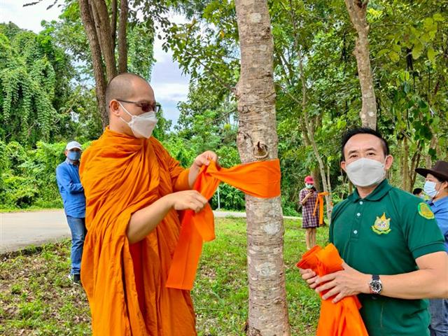 ผศ.วีระยุทธ หอมชื่น นำทีม บวชป่า ม.พะเยา