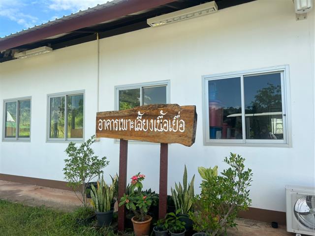 วิทยาลัยการศึกษา ดำเนินโครงการกิจกรรมเสริมความเป็นครู  (กิจกรรมตามแนวทางปรัชญาเศรษฐกิจพอเพียงและ/หรือศาสตร์พระราชา)