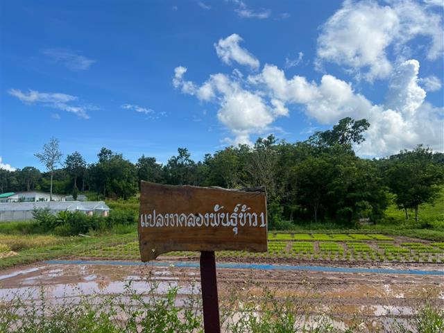 วิทยาลัยการศึกษา ดำเนินโครงการกิจกรรมเสริมความเป็นครู  (กิจกรรมตามแนวทางปรัชญาเศรษฐกิจพอเพียงและ/หรือศาสตร์พระราชา)