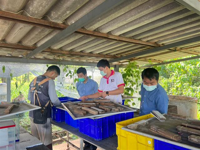 วิทยาลัยการศึกษา ดำเนินโครงการกิจกรรมเสริมความเป็นครู  (กิจกรรมตามแนวทางปรัชญาเศรษฐกิจพอเพียงและ/หรือศาสตร์พระราชา)