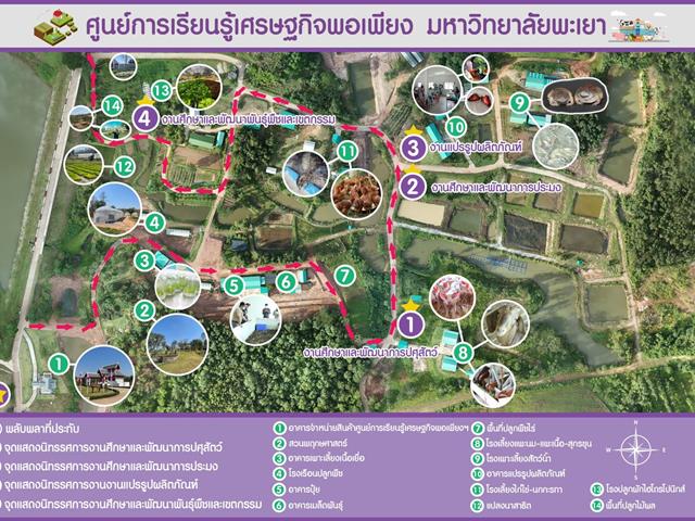 วิทยาลัยการศึกษา ดำเนินโครงการกิจกรรมเสริมความเป็นครู  (กิจกรรมตามแนวทางปรัชญาเศรษฐกิจพอเพียงและ/หรือศาสตร์พระราชา)