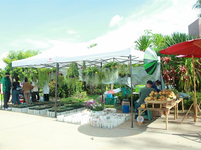 ตลาดส่งเสริมศิลปวัฒนธรรม " กาดโก้งโค้ง " คณะเกษตรศาสตร์และทรัพยากรธรรมชาติ มหาวิทยาลัยพะเยา