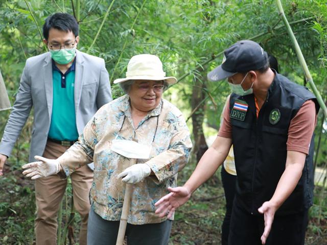 ศาสตราจารย์ (พิเศษ) ดร.กฤษณา ไกรสินธุ์