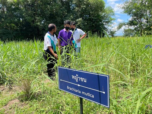 คณะเกษตรฯ ม.พะเยา ลุย!! ขับเคลื่อนสร้างชุมชน นวัตกรรมเข้มแข็ง ด้านโคเนื้อ - กระบือคุณภาพ