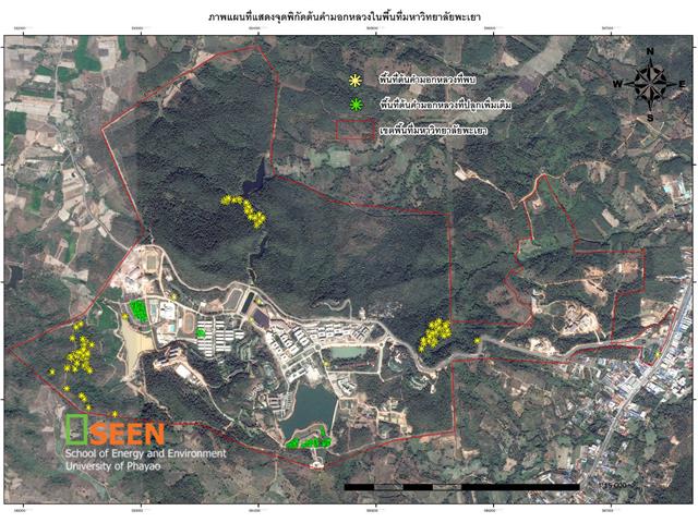 University of Phayao
