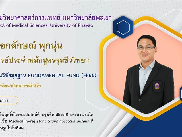 ทุนวิจัยมูลฐาน Fundamental Fund (FF66)
