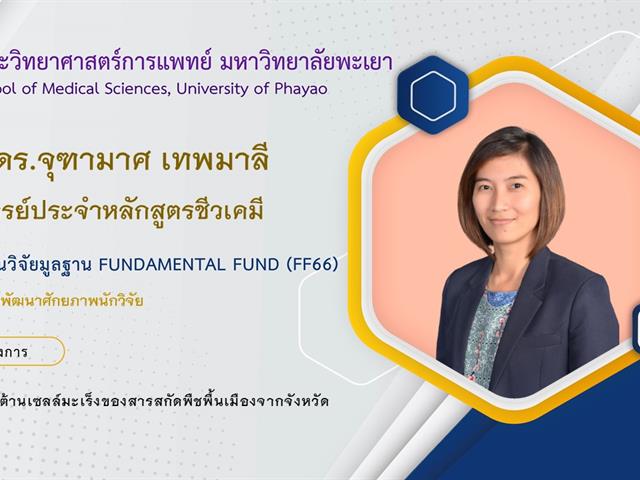 ทุนวิจัยมูลฐาน Fundamental Fund (FF66)