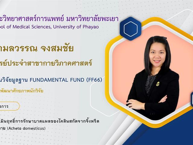 ทุนวิจัยมูลฐาน Fundamental Fund (FF66)