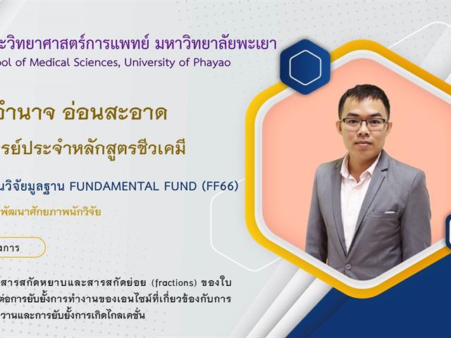 ทุนวิจัยมูลฐาน Fundamental Fund (FF66)