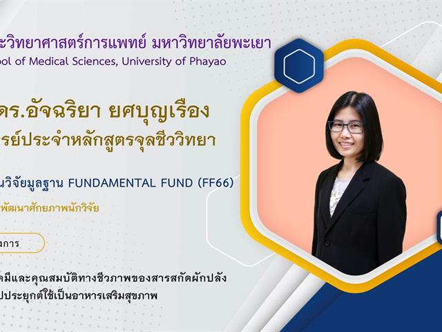 ทุนวิจัยมูลฐาน Fundamental Fund (FF66)