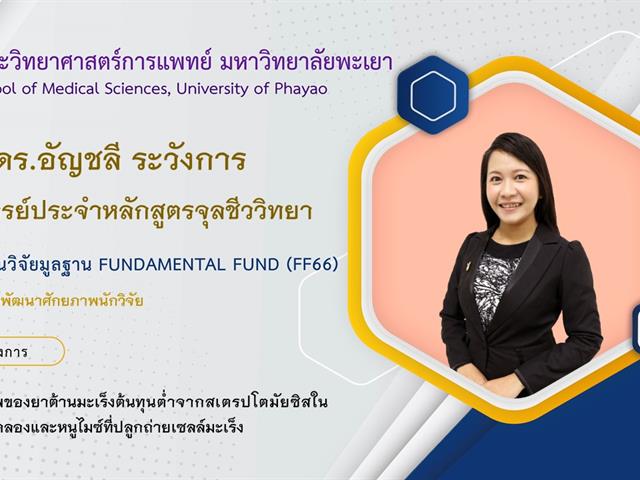 ทุนวิจัยมูลฐาน Fundamental Fund (FF66)
