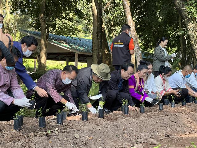 “ภูกามยาวโมเดล” นำร่องเป็นพื้นที่ปลูกฟ้าทลายโจร