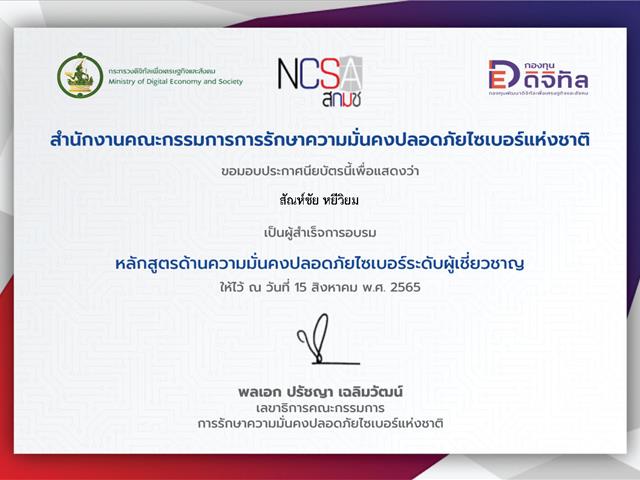 ความมั่นคงปลอดภัยไซเบอร์ระดับผู้เชี่ยวชาญ