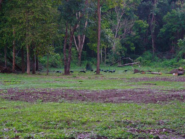 เปิดเทศกาลรำแพน (Lake camp) ประจำปี 2565