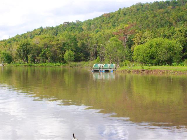 เปิดเทศกาลรำแพน (Lake camp) ประจำปี 2565