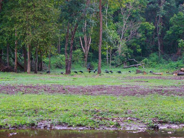 เปิดเทศกาลรำแพน (Lake camp) ประจำปี 2565