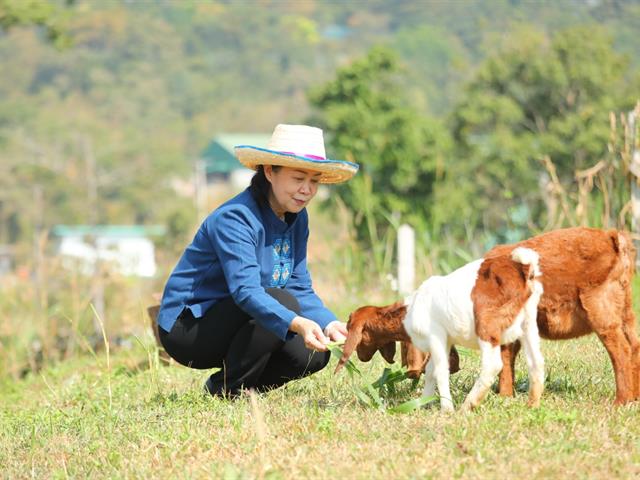 สภามหาวิทยาลัยพะเยา