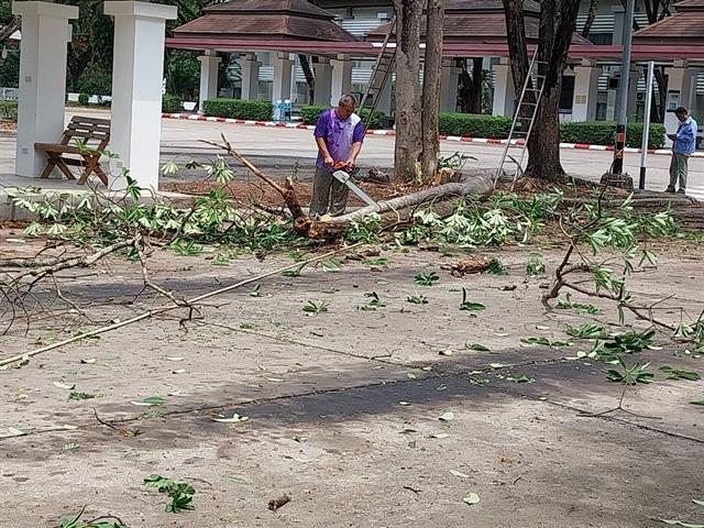 กองอาคารสถานที่