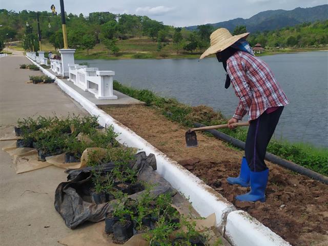 กองอาคารสถานที่