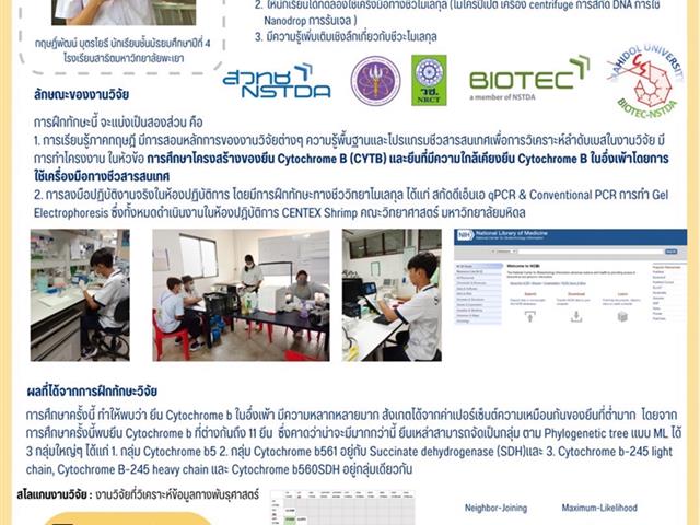 โรงเรียนสาธิตมหาวิทยาลัยพะเยา