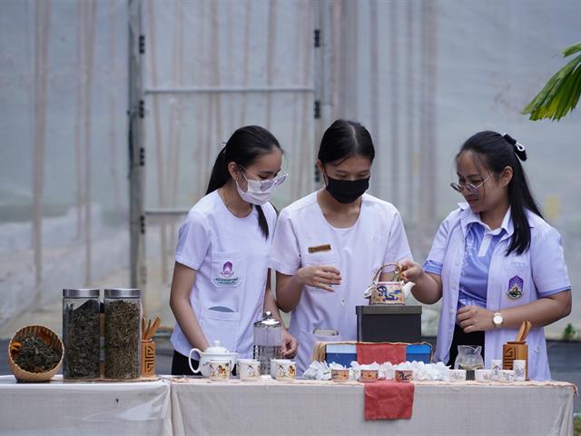 School of Public Health, University of Phayao, Establish Local Herbal Learning Center for Health