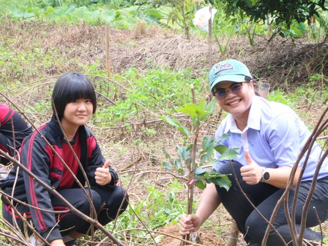 School of Public Health, University of Phayao, Establish Local Herbal Learning Center for Health