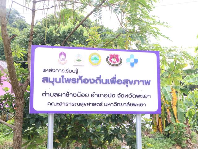 School of Public Health, University of Phayao, Establish Local Herbal Learning Center for Health
