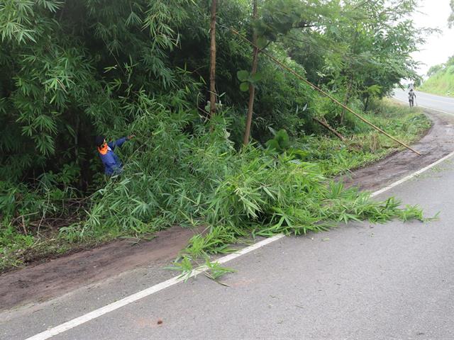 #กองอาคารสถานที่ มหาวิทยาลัยพะเยา #UPWECAN#UI Green