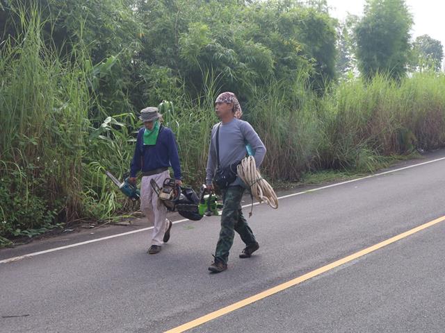 #กองอาคารสถานที่ มหาวิทยาลัยพะเยา #UPWECAN#UI Green