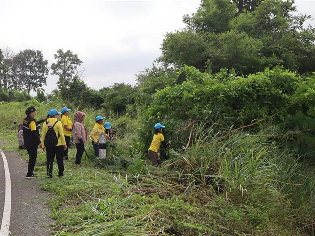 #กองอาคารสถานที่ มหาวิทยาลัยพะเยา #UPWECAN#UI Green