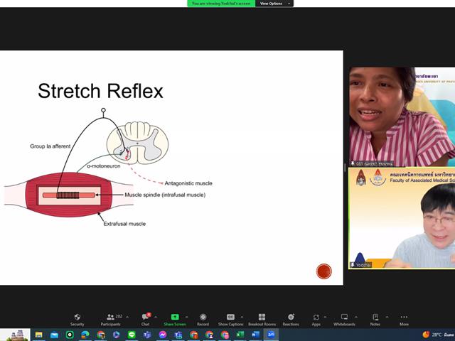 สาขากายภาพบำบัด คณะสหเวชศาสตร์ จัดโครงการในหัวข้อ Functional correction of lumbo-pelvic hip complex: Asymmetrical overloaded syndrome