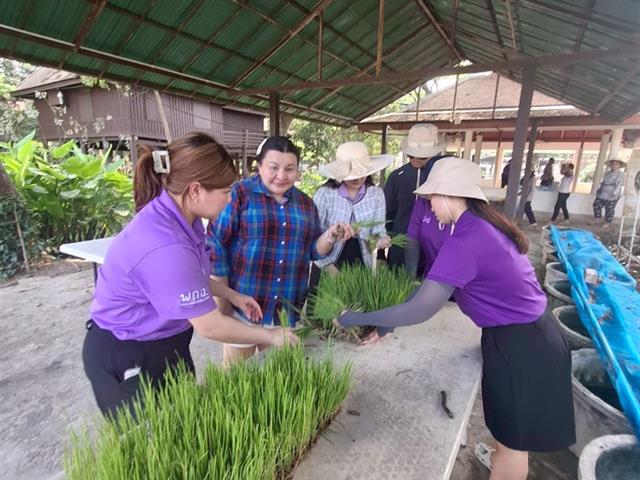 วิทยาลัยการจัดการ หลักสูตรการศึกษามหาบัณฑิต กิจกรรมการฝึกปฏิบัติการภาคสนาม เข้ากับกระบวนการเรียนรู้ในรายวิชา ณ สำนักงานพิพิธภัณฑ์เกษตรเฉลิมพระเกียรติพระบาทสมเด็จพระเจ้าอยู่หัว