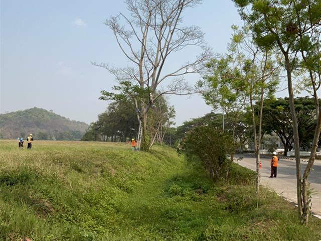 กองอาคารสถานที่ มหาวิทยาลัยพะเยา