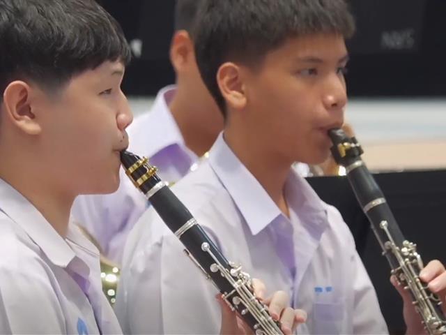 DeSUP Ensemble