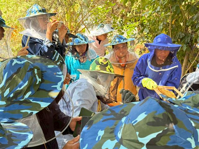 หวานจากรัง 8.jpg