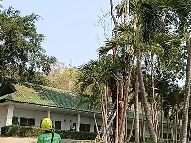 กองอาคารสถานที่ มหาวิทยาลัยพะเยา