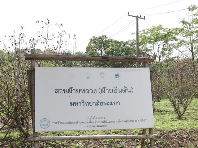 กองอาคารสถานที่ มหาวิทยาลัยพะเยา 