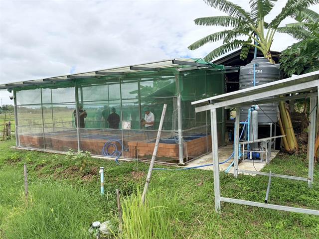UP Advances Smart Algae Farming Innovation to Drive Future Food and BCG Economy