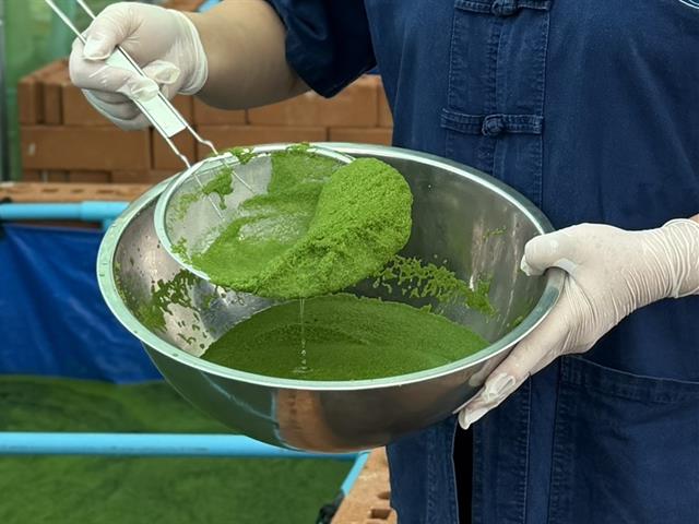 UP Advances Smart Algae Farming Innovation to Drive Future Food and BCG Economy