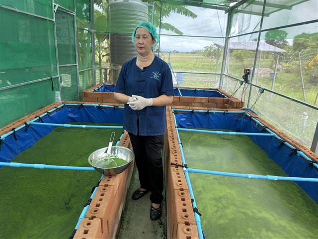 UP Advances Smart Algae Farming Innovation to Drive Future Food and BCG Economy