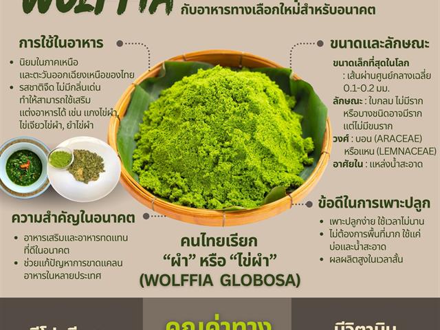 UP Advances Smart Algae Farming Innovation to Drive Future Food and BCG Economy