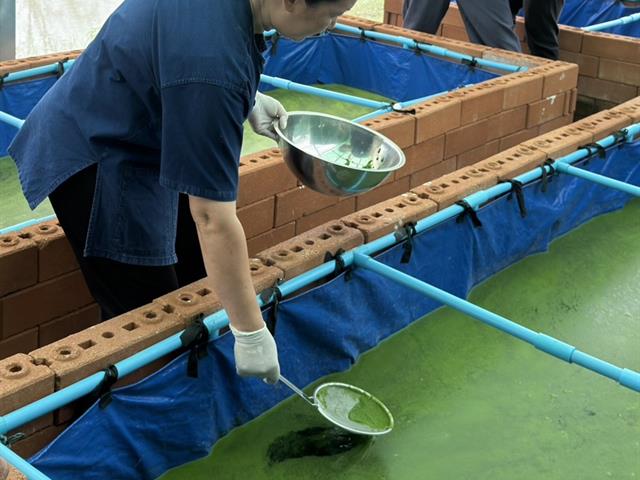 UP Advances Smart Algae Farming Innovation to Drive Future Food and BCG Economy