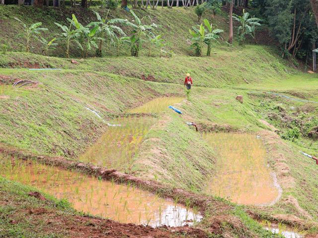 กองอาคารสถานที่