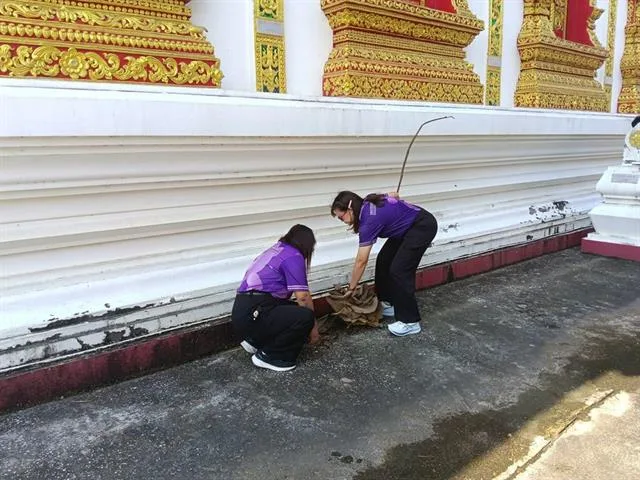 วิทยาเขตเชียงราย ดำเนินโครงการบำเพ็ญประโยชน์แก่ชุมชนและสังคม บูรณาการเรียนรู้ภูมิปัญญาท้องถิ่นสู่การพัฒนาการศึกษา