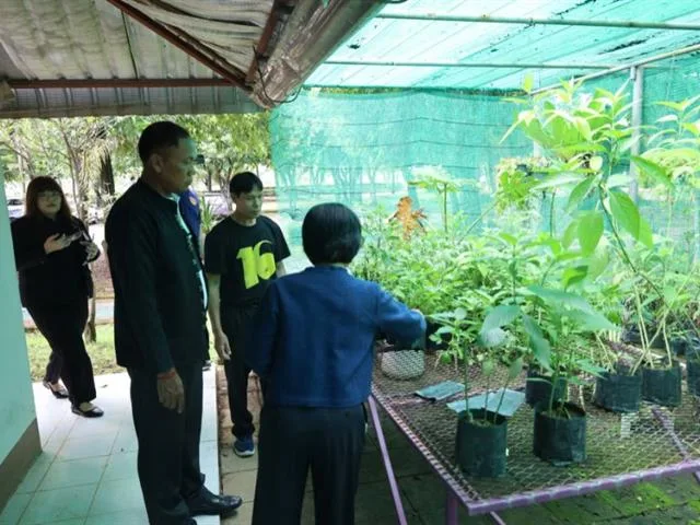 วิทยาเขตเชียงราย ขับเคลื่อนโครงการเศรษฐกิจสร้างสรรค์ฯ พร้อมส่งเสริมสุขภาวะผู้สูงวัยในชุมชน