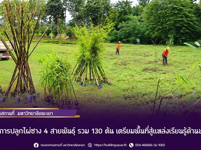 ดำเนินการปลูกไผ่ซาง 4 สายพันธุ์ รวม 130 ต้น เตรียมพื้นที่สู่แหล่งเรียนรู้ด้านพันธุ์ไผ่