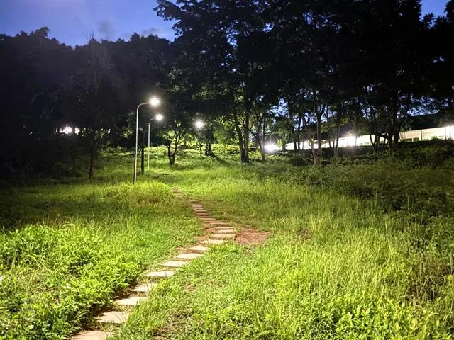 Moves Forward with Lighting System Survey, Preparing to Improve and Enhance Brightness for Greater Safety Campus-Wide